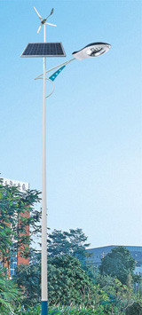 Solar Street Lamp