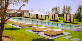 /hard-chrome-additive/782.html